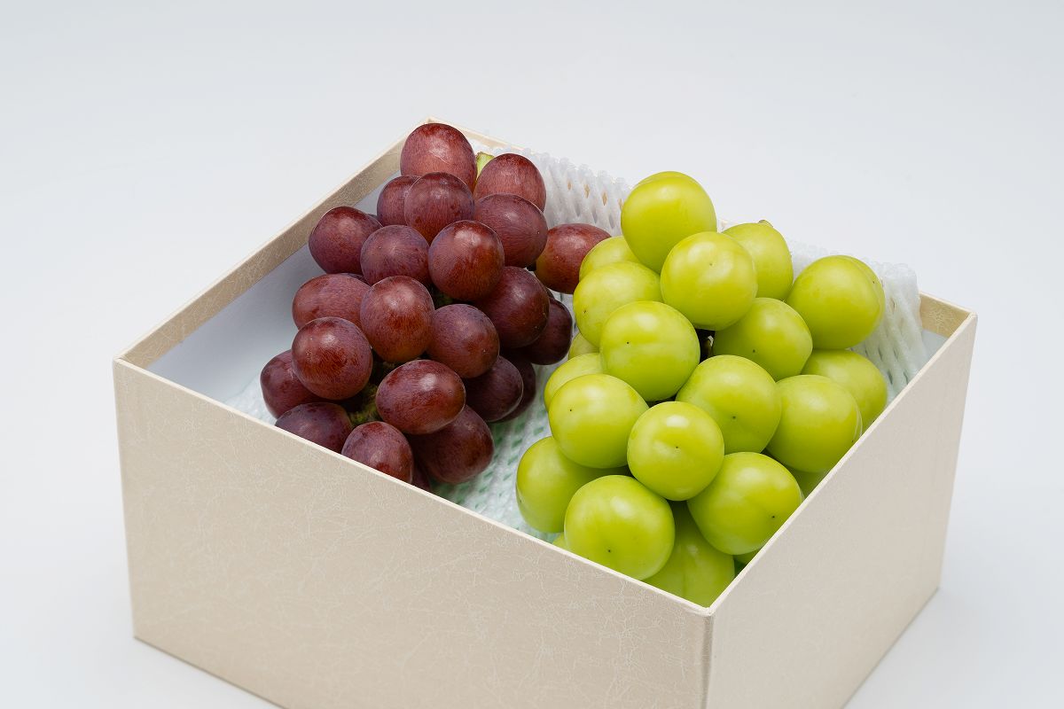 R-2 種無しおまかせセット2房（約1kg）