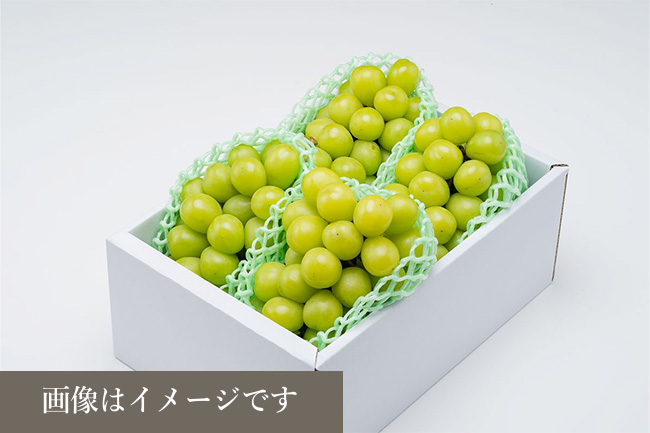 G-7 ご自宅用シャインマスカット2㎏（４~５房）
